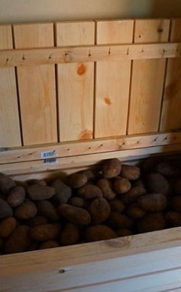 Comment garder un radis pour l'hiver à la maison dans une cave ou un appartement, est-il possible de congeler