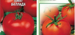 Beschreibung der Ballada-Tomatensorte und ihrer Eigenschaften
