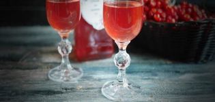 9 recettes simples pour faire du vin à partir de viburnum à la maison