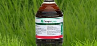 Instructions pour l'utilisation de l'herbicide Galera, mécanisme d'action et taux de consommation