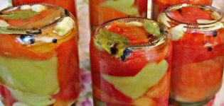 6 recettes faciles pour les poivrons marinés instantanés pour l'hiver