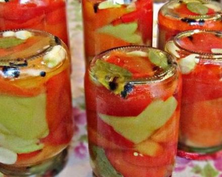 6 recettes faciles pour les poivrons marinés instantanés pour l'hiver