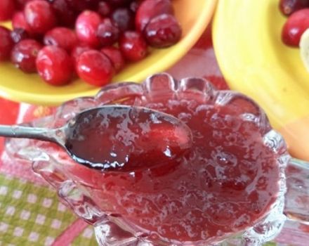 TOP 7 des recettes pour faire de la confiture d'airelles pour l'hiver