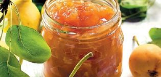 A simple recipe for pear and orange jam for the winter