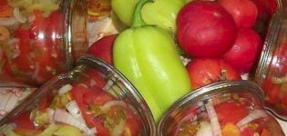 TOP 16 de délicieuses recettes étape par étape pour préparer des collations pour l'hiver