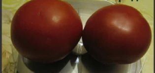 Caractéristiques et description de la variété de tomate Spiridon