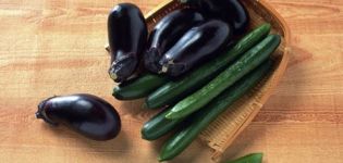 Cultiver et entretenir des aubergines dans la même serre avec des concombres, est-ce possible