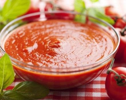 TOP 8 des recettes pour faire de la sauce tomate aux pommes pour l'hiver