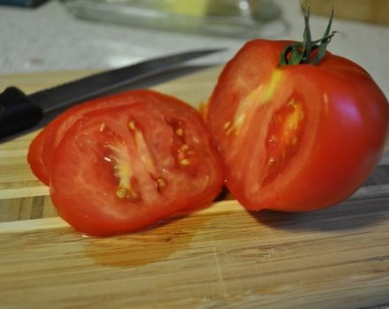 Characteristics and description of the tomato variety President, its yield and cultivation