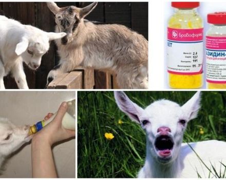 Symptômes des maladies chez les enfants et méthodes de traitement, méthodes de prévention