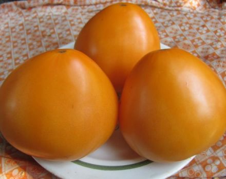 Caractéristiques et description de la variété de tomate Golden Dômes, son rendement