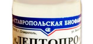 Mode d'emploi et propriétés du vaccin contre la leptospirose bovine, posologie