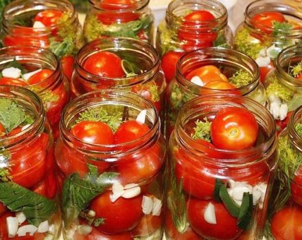 TOP 3 Rezepte zum Kochen von würzigen Tomaten für den Winter