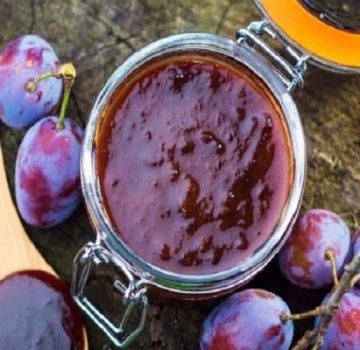 Recettes de confiture de prunelles pour l'hiver avec et sans graines
