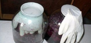 Reasons and what to do if a glove on homemade wine is pulled inside
