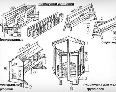 Top 4 des types de mangeoires pour moutons, tailles et comment le faire vous-même