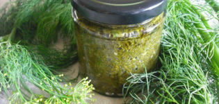 Les meilleures recettes pour préparer l'aneth pour l'hiver, ce qui est meilleur pour la conservation, comment conserver l'arôme