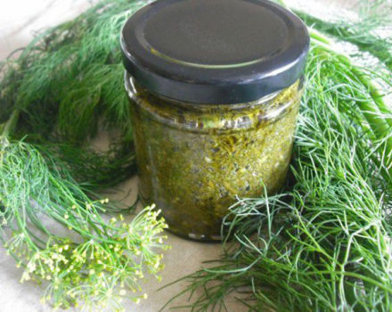 Die besten Rezepte für die Ernte von Dill für den Winter, die besser für die Konservierung ist, wie man das Aroma konserviert