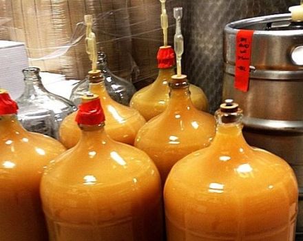 TOP 4 Rezepte für die Herstellung von Mandarinenwein zu Hause