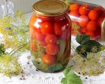 9 meilleures recettes pour mariner les tomates à l'ail pour l'hiver dans des bocaux