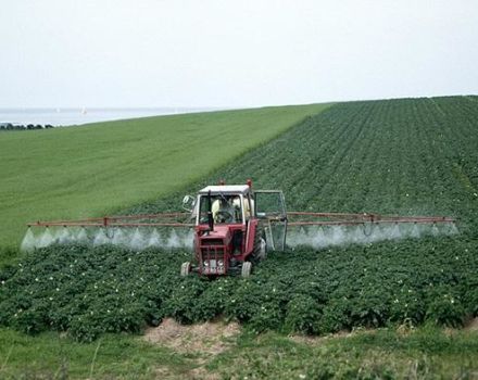 Instructions pour l'utilisation du fongicide Luna Tranquility et taux de consommation