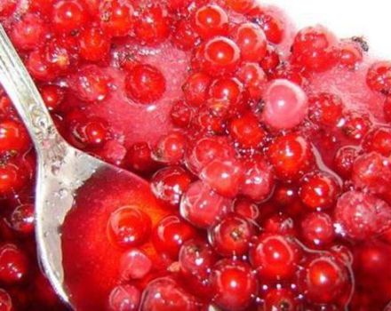 TOP 3 des recettes pour faire de la confiture de groseille rouge pour l'hiver sans cuisson