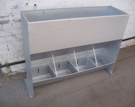 Types and sizes of hopper feeders for pigs, drawings and do-it-yourself installation