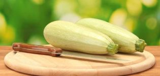TOP 4 des recettes pour préparer des blancs de courgettes pour les petits pains pour l'hiver
