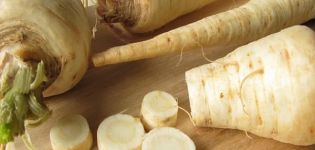 Verwendung von Petersilienwurzel für medizinische Zwecke, nützliche Eigenschaften und Kontraindikationen