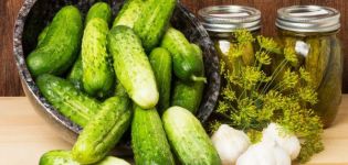 TOP 9 Rezepte für Gurkenkonserven ohne Essig für den Winter