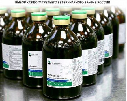 Mode d'emploi et composition d'Ivermek pour chèvres, posologie et analogues