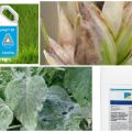Composition and instructions for the use of the fungicide Bumper Super, analogs and reviews
