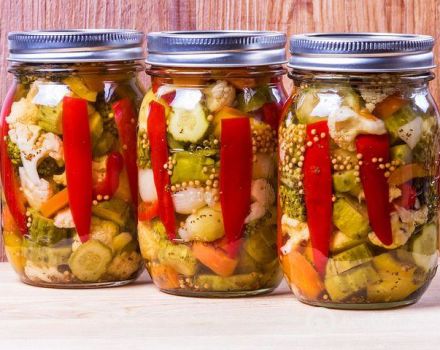 3 most delicious recipes for spicy pickled zucchini for the winter