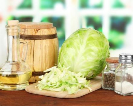 Une recette pas à pas pour préparer des blancs de chou de Savoie pour l'hiver