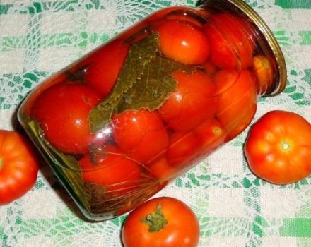 16 Rezepte zum Einlegen von Tomaten ohne Essig für den Winter