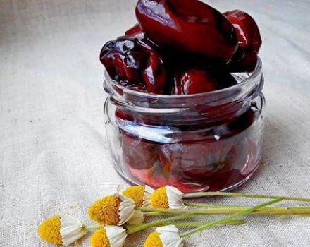 Schritt-für-Schritt-Rezept für eingelegte Pflaumensnacks wie Oliven für den Winter
