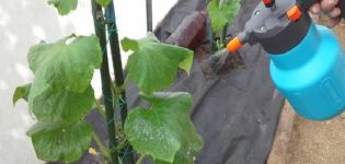 Wie bereite ich chinesische Gurken-Streumischung vor und trage sie auf?