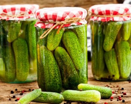 11 quick cooking recipes for spicy salted cucumbers