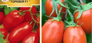 Description de la variété de tomates Torquay et de ses caractéristiques