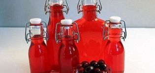6 simple recipes for making fresh cranberry wine at home