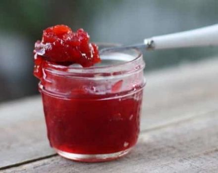 Une recette simple pour faire de la confiture de cerises d'oiseaux pour l'hiver