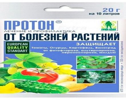 Mode d'emploi du fongicide Proton, mesures de sécurité et analogues