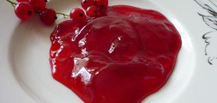 Recette étape par étape pour faire de la confiture de cassis et de groseille ensemble