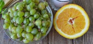 9 meilleures recettes de confiture de groseille et d'orange étape par étape pour l'hiver