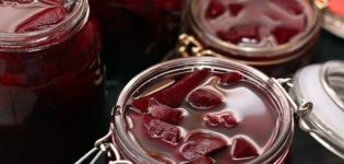 7 Schritt-für-Schritt-Rezepte für eingelegte Rüben für einen kalten Kühlschrank für den Winter