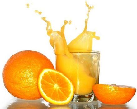 TOP 10 Rezepte für die Herstellung von Orangensaft für den Winter zu Hause