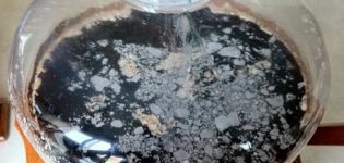 Causes de moisissure sur le vin fait maison et que faire avec un film blanc, comment éviter la détérioration