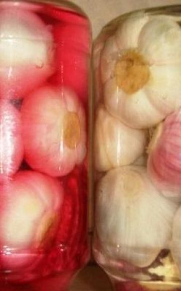 Recette pour la cuisson étape par étape de l'ail mariné en géorgien pour l'hiver