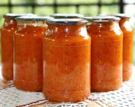 TOP 9 des recettes pour cuisiner du caviar de courge avec des tomates pour l'hiver
