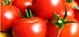 Wann werden 2020 Tomaten für Setzlinge in der Ukraine gepflanzt?